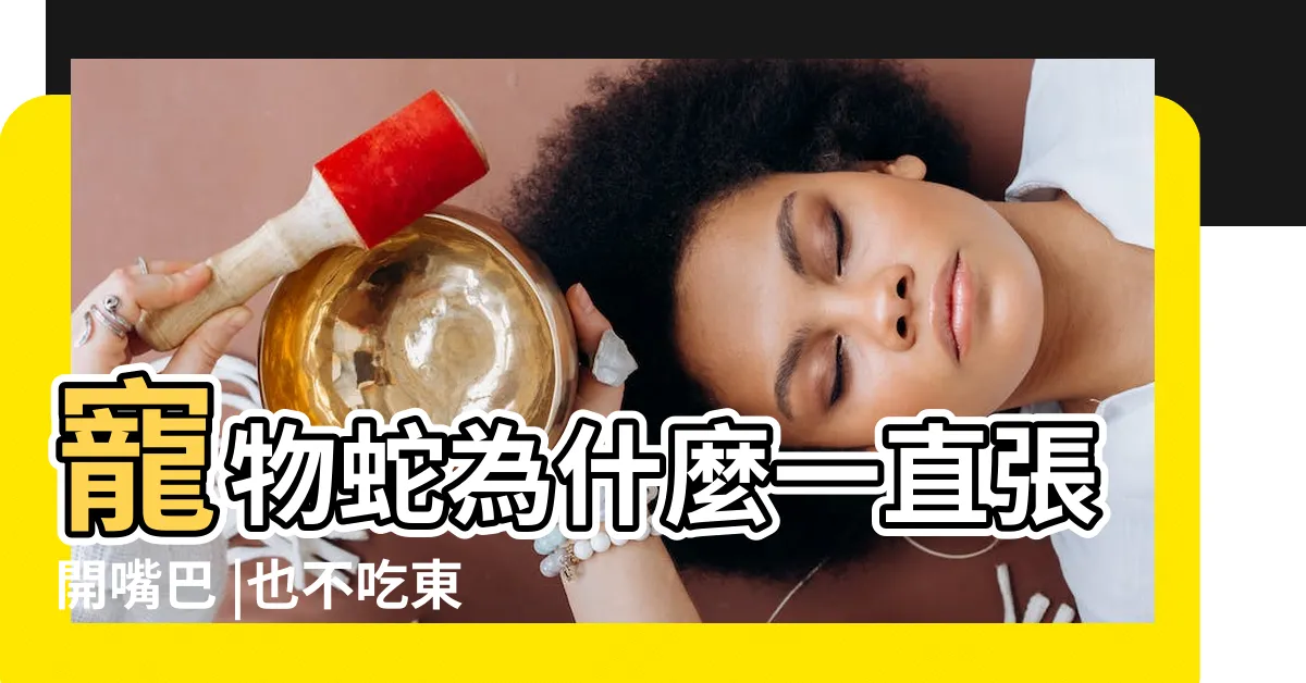 【蛇張口】寵物蛇為什麼一直張開嘴巴 |也不吃東西 |慢動作播放蛇張嘴攻擊 |