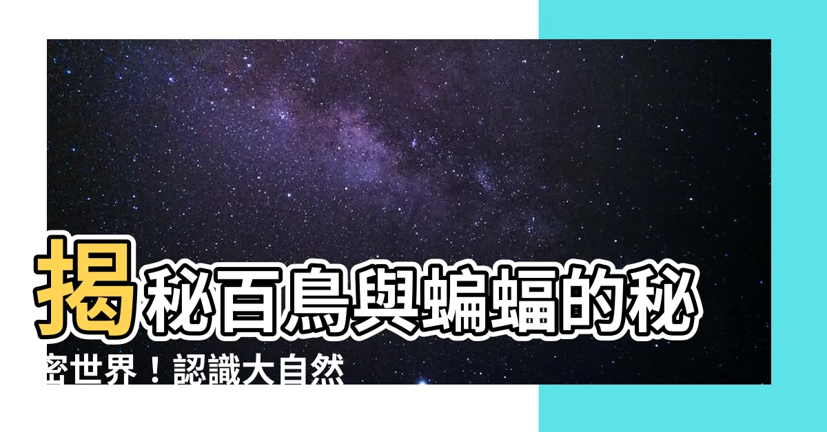 【百鳥與蝙蝠】揭秘百鳥與蝙蝠的秘密世界！認識大自然中的陰陽對比