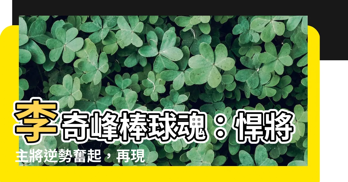 【李奇峯 棒球】李奇峯棒球魂：悍將主將逆勢奮起，再現威基基2傳奇