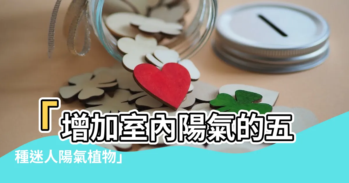 【陽氣植物】「增加室內陽氣的五種迷人陽氣植物」