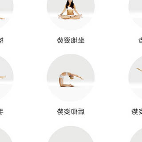 3.中國主要的瑜伽流派有哪些?