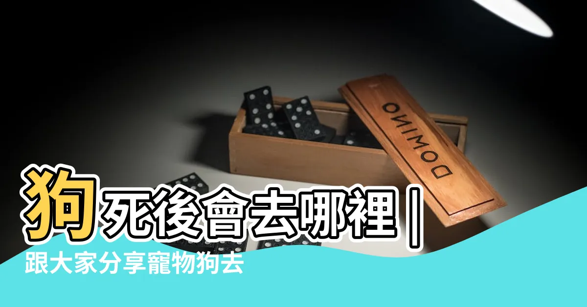 【狗狗往生後去哪裡】狗死後會去哪裡 |跟大家分享寵物狗去世的相關問答 |狗狗去世靈魂會去哪裏 |