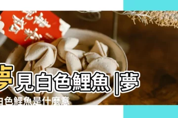 【夢見自己在水裏捕撈白色鯉魚】夢見白色鯉魚 |夢到白色鯉魚是什麼意思 |