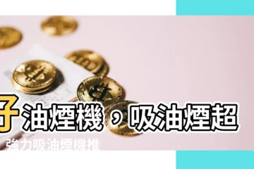 【rh 9870】好油煙機，吸油煙超強！強力吸油煙機推薦：林內RH 9870