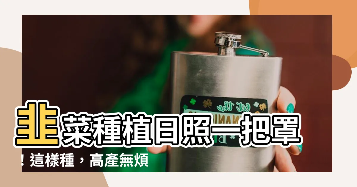 【韭菜種植日照】韭菜種植日照一把罩！這樣種，高產無煩惱