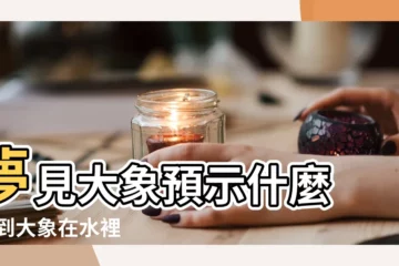 【夢見大象水中游】夢見大象預示什麼 |夢到大象在水裡 |夢見大象在汙水裡遊 |