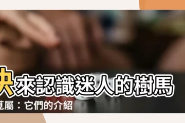 【樹馬齒莧屬】快來認識迷人的樹馬齒莧屬：它們的介紹與照顧指南