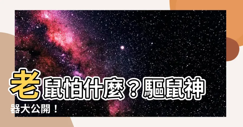 【老鼠怕什麼】老鼠怕什麼？驅鼠神器大公開！