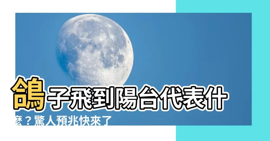 【鴿子飛到陽台代表】鴿子飛到陽台代表什麼?驚人預兆快來瞭解!