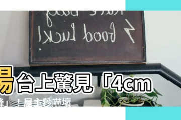 【陽台蜜蜂】陽台上驚見「4cm巨蜂」！屋主秒嚇壞：趕快告訴我怎麼處理