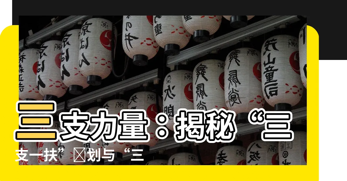 【三支】三支力量：揭秘“三支一扶”計劃與“三支兩軍”背後的故事