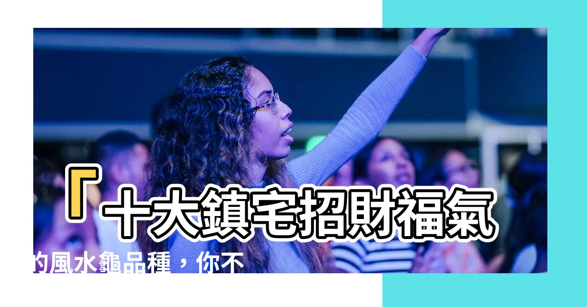 【風水龜品種】「十大鎮宅招財福氣的風水龜品種,你不能錯過!」