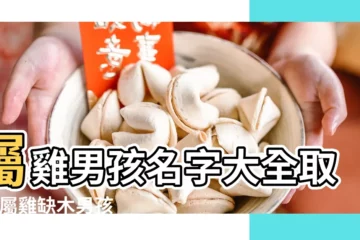 【屬雞男孩有什麼好名字大全】屬雞男孩名字大全取名 |屬雞缺木男孩名字大全 |屬雞的男孩子叫什麼名字好雞年男孩名字首選 |