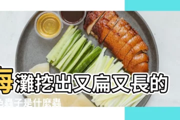 【河裏紅色的蟲子是什麼意思】海灘挖出又扁又長的紅色蟲子是什麼蟲 |河裏的小紅蟲子是什麼 |關於紅赤蟲的瞭解與餵食問題分享 |