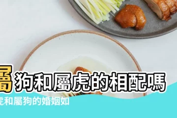 【屬狗的的和屬虎的】屬狗和屬虎的相配嗎屬虎和屬狗的婚姻如何 |生肖屬虎和屬狗的合不合相合配對指數 |屬虎男人和屬狗女人相配嗎 |