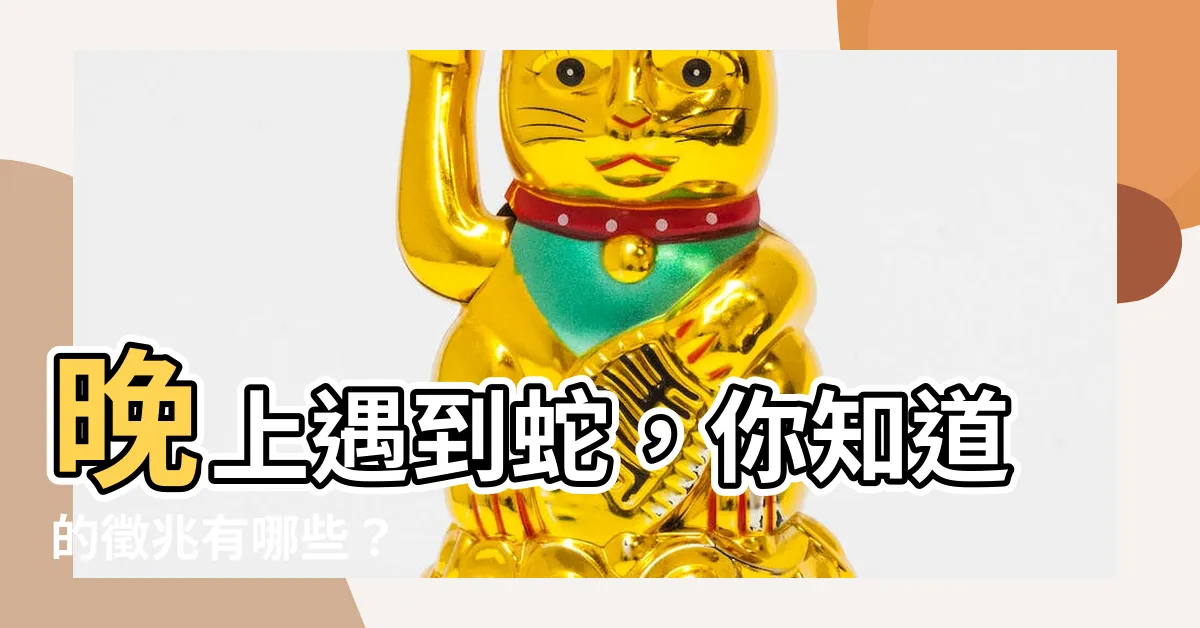 【晚上看見蛇有什麼徵兆】晚上遇到蛇，你知道的徵兆有哪些？