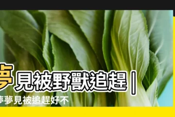 【夢見被兩個猛獸追趕】夢見被野獸追趕 |做夢夢見被追趕好不好 |夢見猛獸追趕 |
