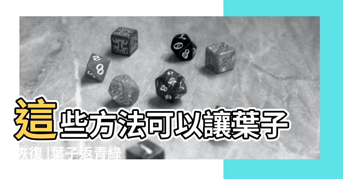 【金錢樹黃葉】這些方法可以讓葉子恢復 |葉子返青綠油油 |注意6點 |