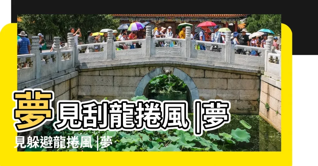 夢見刮龍捲風 |夢見躲避龍捲風 |夢見龍捲風襲擊自己家夢見龍捲風颳向自己家 |【夢見葬禮上刮龍捲風】