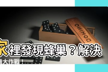 【家裡 蜂巢】家裡發現蜂巢？解決危機大作戰！