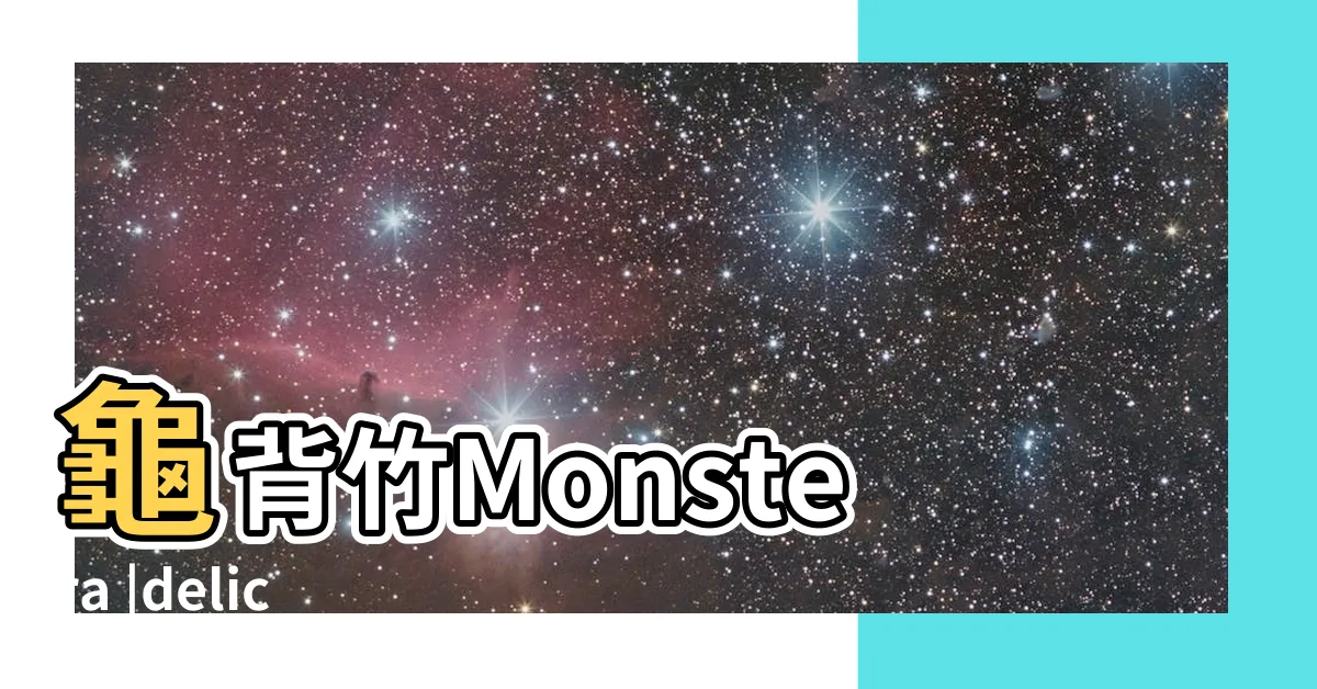 【龜背葉 英文】龜背竹Monstera |deliciosa |