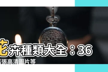 【花的種類圖】花卉種類大全：360 萬張高清圖片等你探索！
