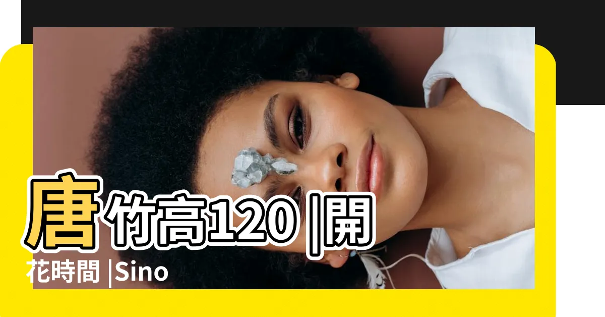 【唐竹種植】唐竹高120 |開花時間 |Sinobambusa |
