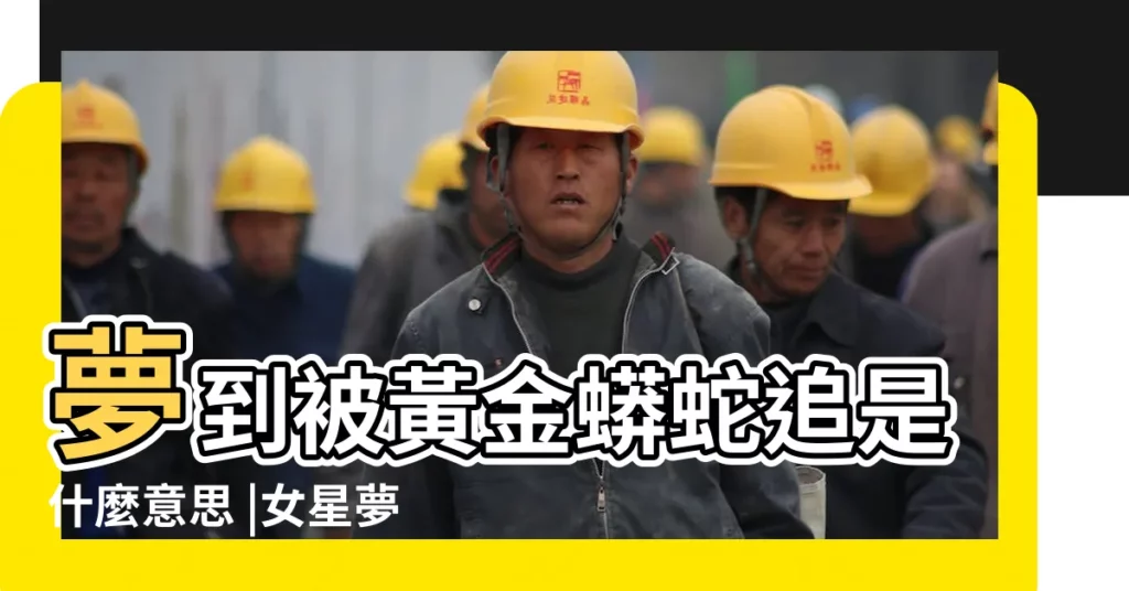 夢到被黃金蟒蛇追是什麼意思 |女星夢到黃金蟒命理師一聽 |女人夢見黃金蟒 |【女人夢見被黃金大蟒蛇追】
