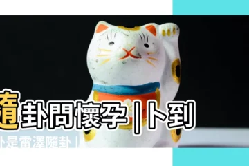 【隨卦 懷孕】隨卦問懷孕 |卜到本卦是雷澤隨卦 |請問胎兒是男或是女 |