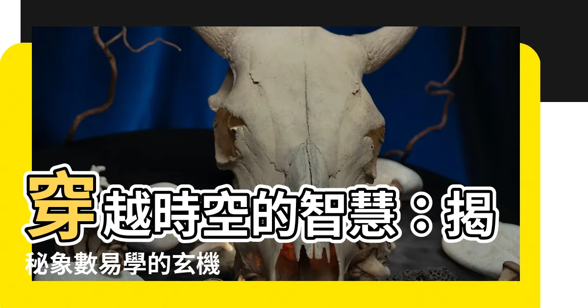 【象數易學】穿越時空的智慧：揭秘象數易學的玄機