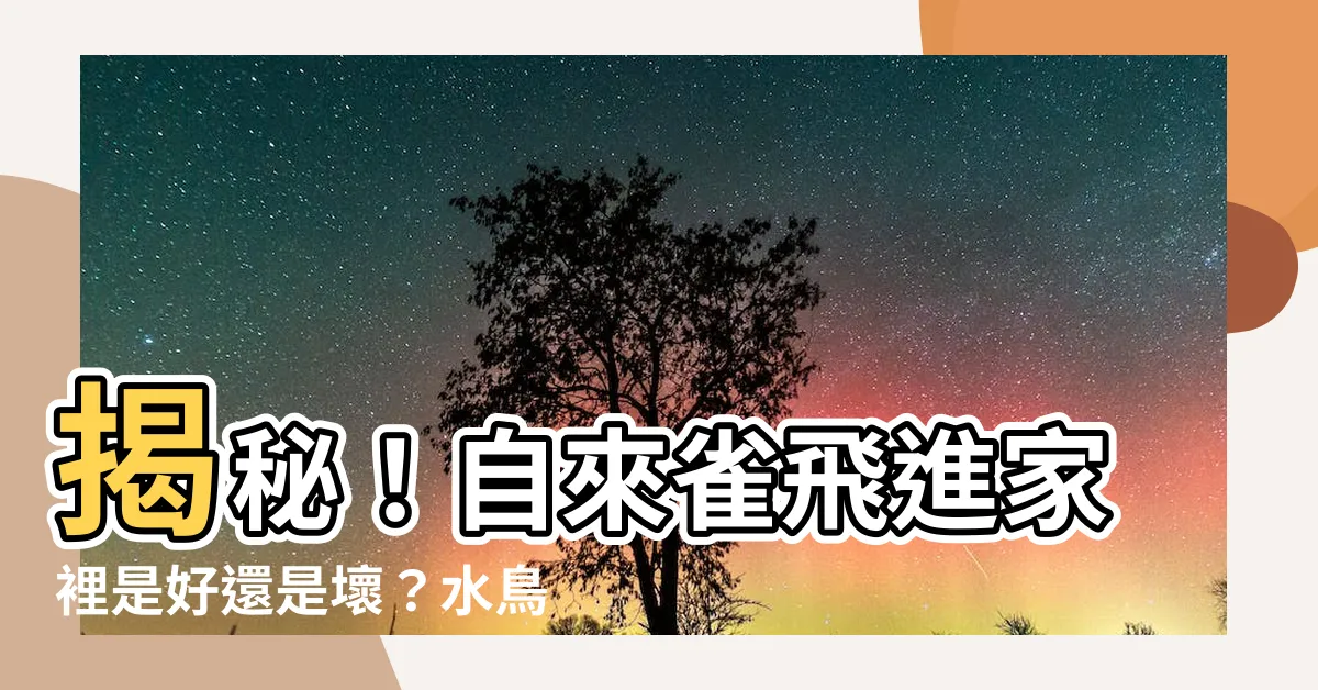 【自來雀好嗎】揭秘！自來雀飛進家裡是好還是壞？水鳥報喜還是晦氣？
