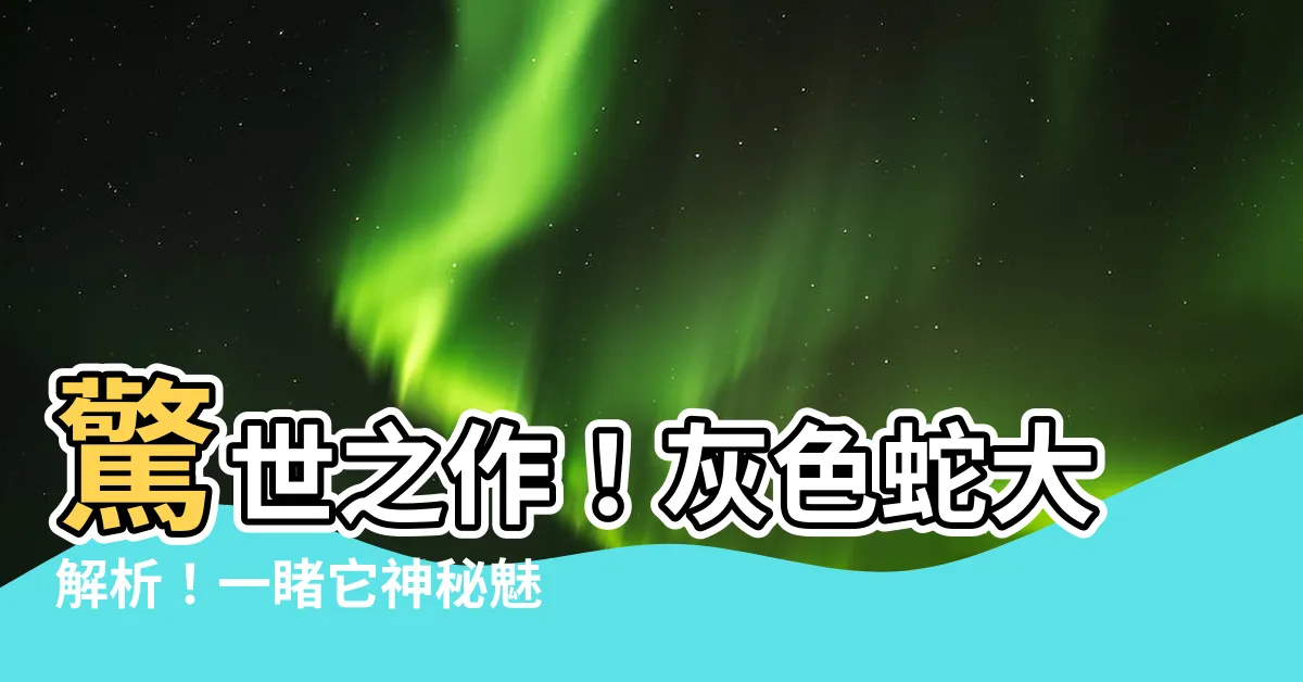 【灰色蛇】驚世之作！灰色蛇大解析！一睹它神秘魅力的80張照片！