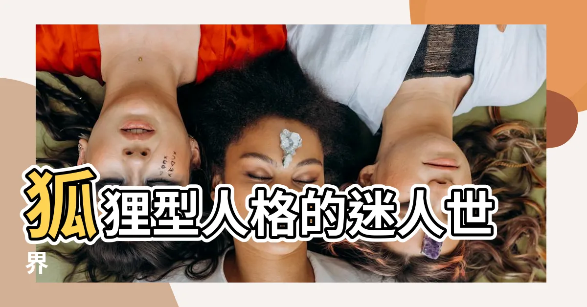 【狐狸型人格】狐狸型人格的迷人世界