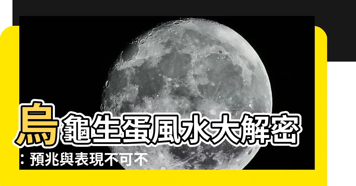 【烏龜生蛋風水】烏龜生蛋風水大解密：預兆與表現不可不知！
