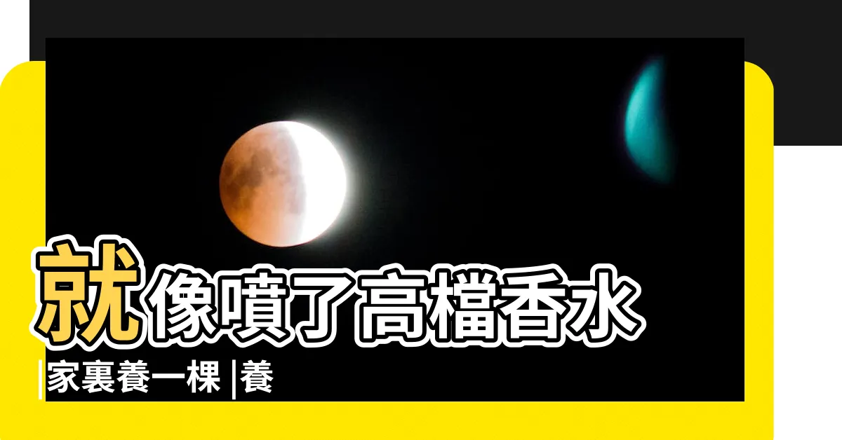 【有香味的樹】就像噴了高檔香水 |家裏養一棵 |養在屋子裡 |