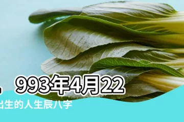 【1993年閏三月初九缺】1993年4月22日出生的人生辰八字測算 |1993年4月30日是什麼命 |農曆1993年閏三月初9日八字算命 |
