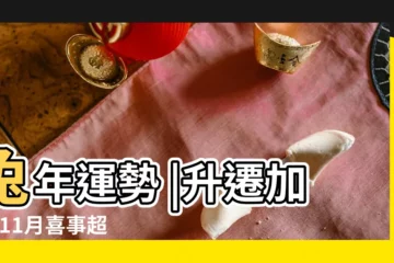 【生肖屬馬的朋友進入】兔年運勢 |升遷加薪 |11月喜事超多 |