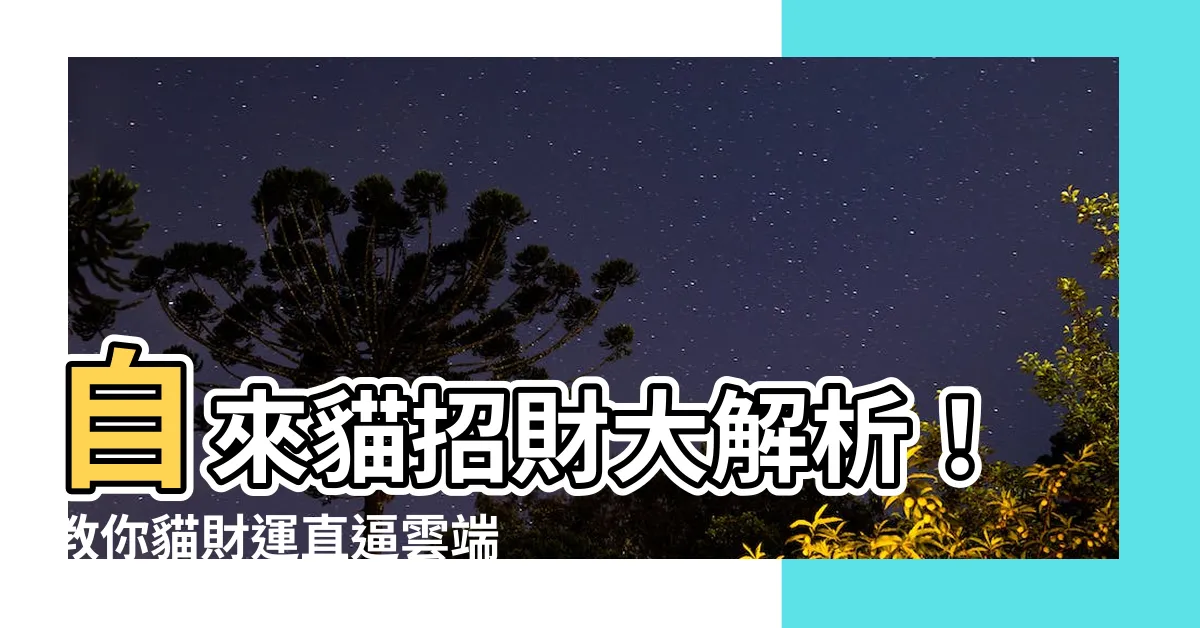 【自來貓招財】自來貓招財大解析！教你貓財運直逼雲端，財運大爆發！