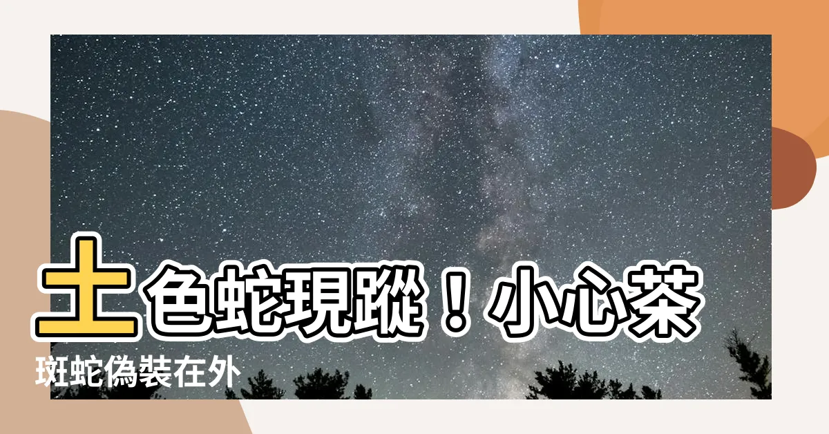 【土色蛇】土色蛇現蹤！小心茶斑蛇偽裝在外