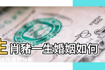 【豬18年月份感情運勢】生肖豬一生婚姻如何 |性格與運勢分析詳解 |屬豬人2018年每月的運勢完整篇 |