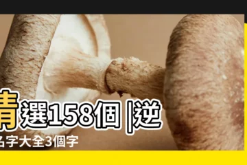 【3個字逆戰名字大全】精選158個 |逆戰名字大全3個字 |逆戰三個字的名字大全 |