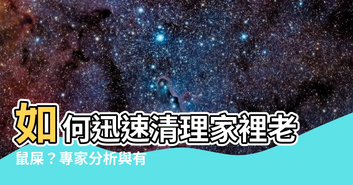 【家裡有老鼠屎】如何迅速清理家裡老鼠屎？專家分析與有效方法給你