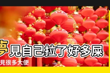 【周公解夢夢見則所有很多糞】夢見自己拉了好多屎 |夢見很多大便 |夢見廁所很多大便 |