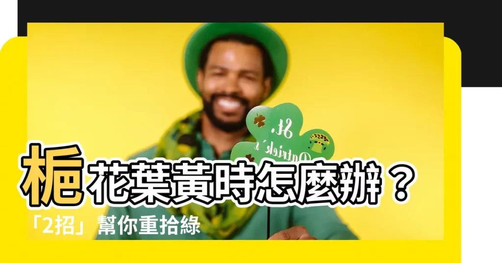 【梔花葉放時】梔花葉黃時怎麼辦?「2招」幫你重拾綠意,花苞滿枝又綻放!