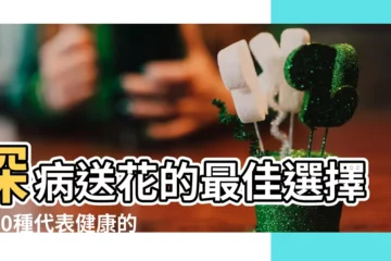【代表健康的花】探病送花的最佳選擇！10種代表健康的花卉，温暖病人的心♪
