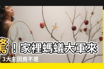 【螞蟻大量出現原因】驚！家裡螞蟻大軍來襲，3大主因竟不是只因食物誘引！