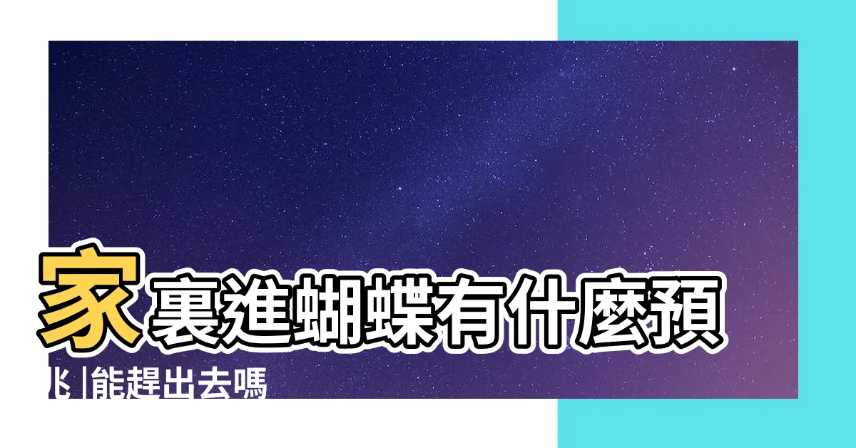 【蝴蝶進家裡】家裏進蝴蝶有什麼預兆 |能趕出去嗎 |搜索結果 |