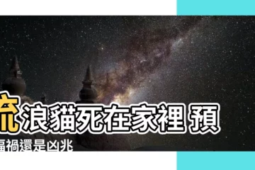 【流浪貓死在家裡】流浪貓死在家裡 預示福禍還是凶兆