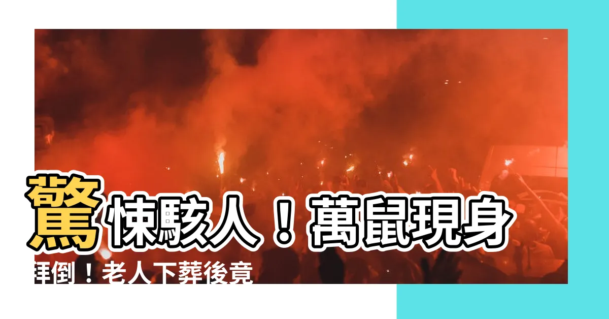 【萬鼠拜墳】驚悚駭人！萬鼠現身拜倒！老人下葬後竟引發詭異異象