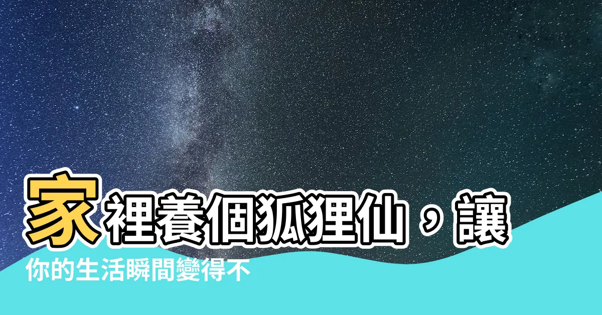 【家裏養個狐狸仙】家裡養個狐狸仙，讓你的生活瞬間變得不一樣！